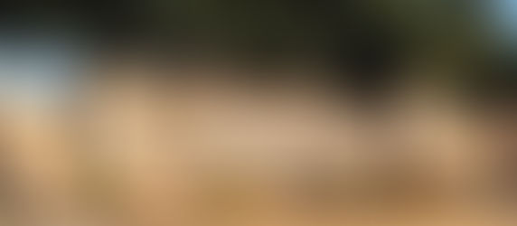 Your Dream Home Awaits in Pegasus Airpark 5AZ3 - Arizona