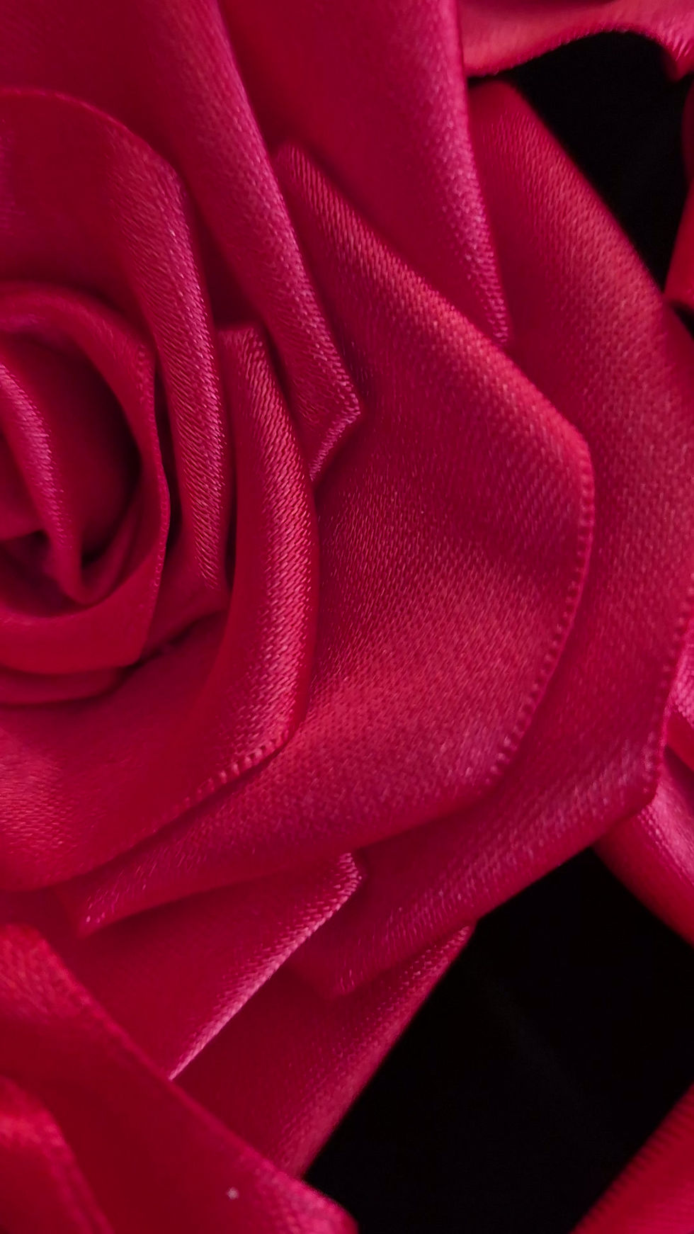 Miniatura: ROSAS ESTERNAS