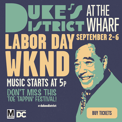 Promotional poster for Labor Day weekend music festival.