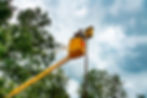 US_4_DSC04589.jpg