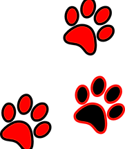 Paws.png