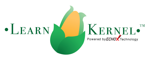 LearnKernel Final Logo EchoX technology .png