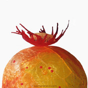 "Sugar dome with flower", Sugar art by Gerhard Petzl