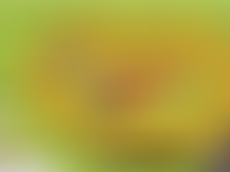 Los VengadorEF de la Educación Física