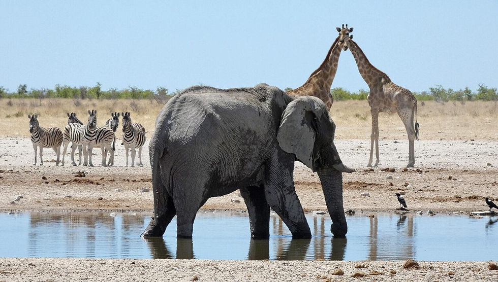 Etosha Nationalpark