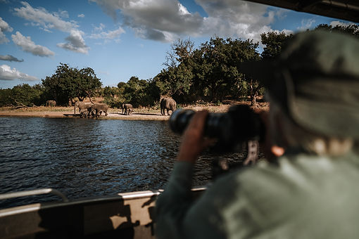 Chobe River.jpg