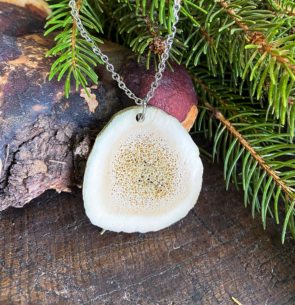 Elk Antler Necklace