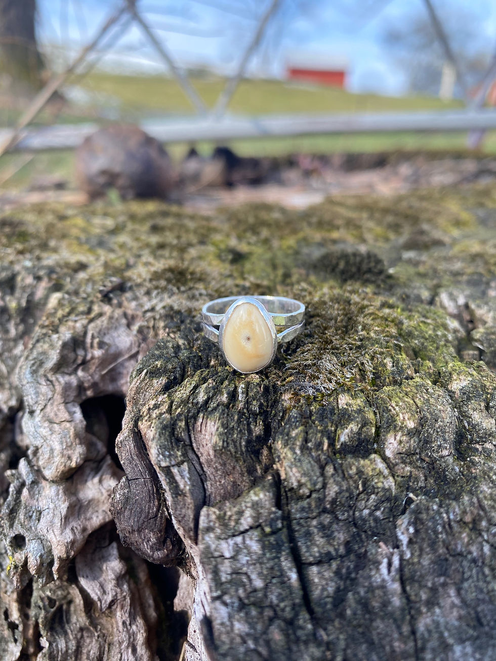 Thumbnail: The Sarah Elk Ivory Ring