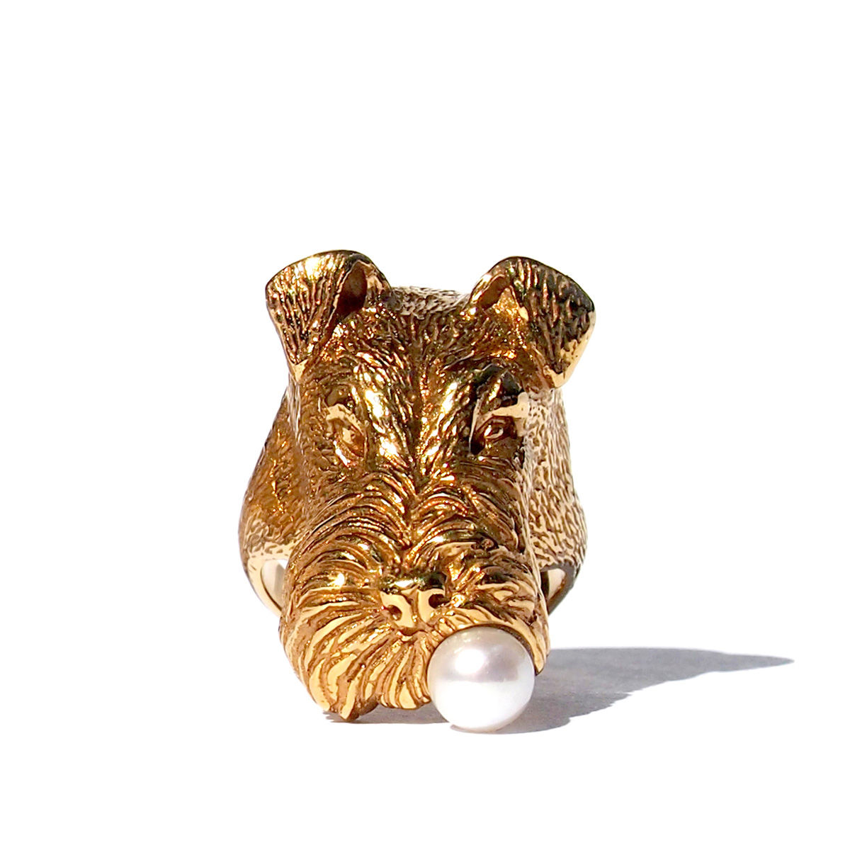 MASK OF TERRIER RING