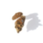 French bulldog jewelry I Bague bouledogue français