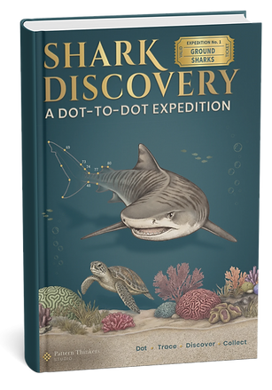 WHAT IS A SHARK ORDER How scientists group sharks There are many different kinds of sharks