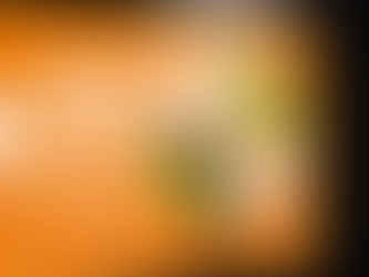 APNIC discute esgotamento do IPv4 e adoção de IPv6 em assembleia anual