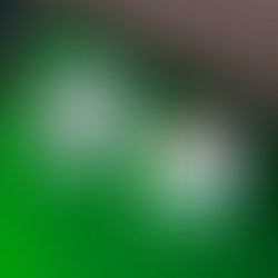 Google e Apple lançam atualizações emergenciais após ataques zero-day