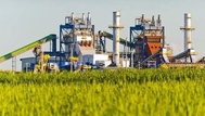 Ataque cibernético paralisa usinas de açúcar na Austrália e interrompe colheita em importante região produtora