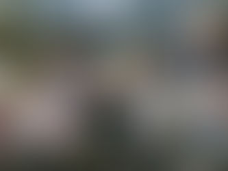 The virtual Reef: To be hosted by Scott Simon