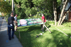 Le montage de la première affiche !