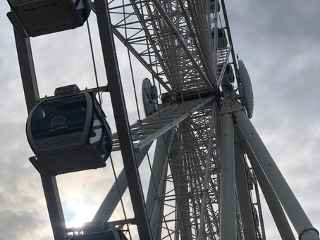 Seattle Aquarium & Great Wheel