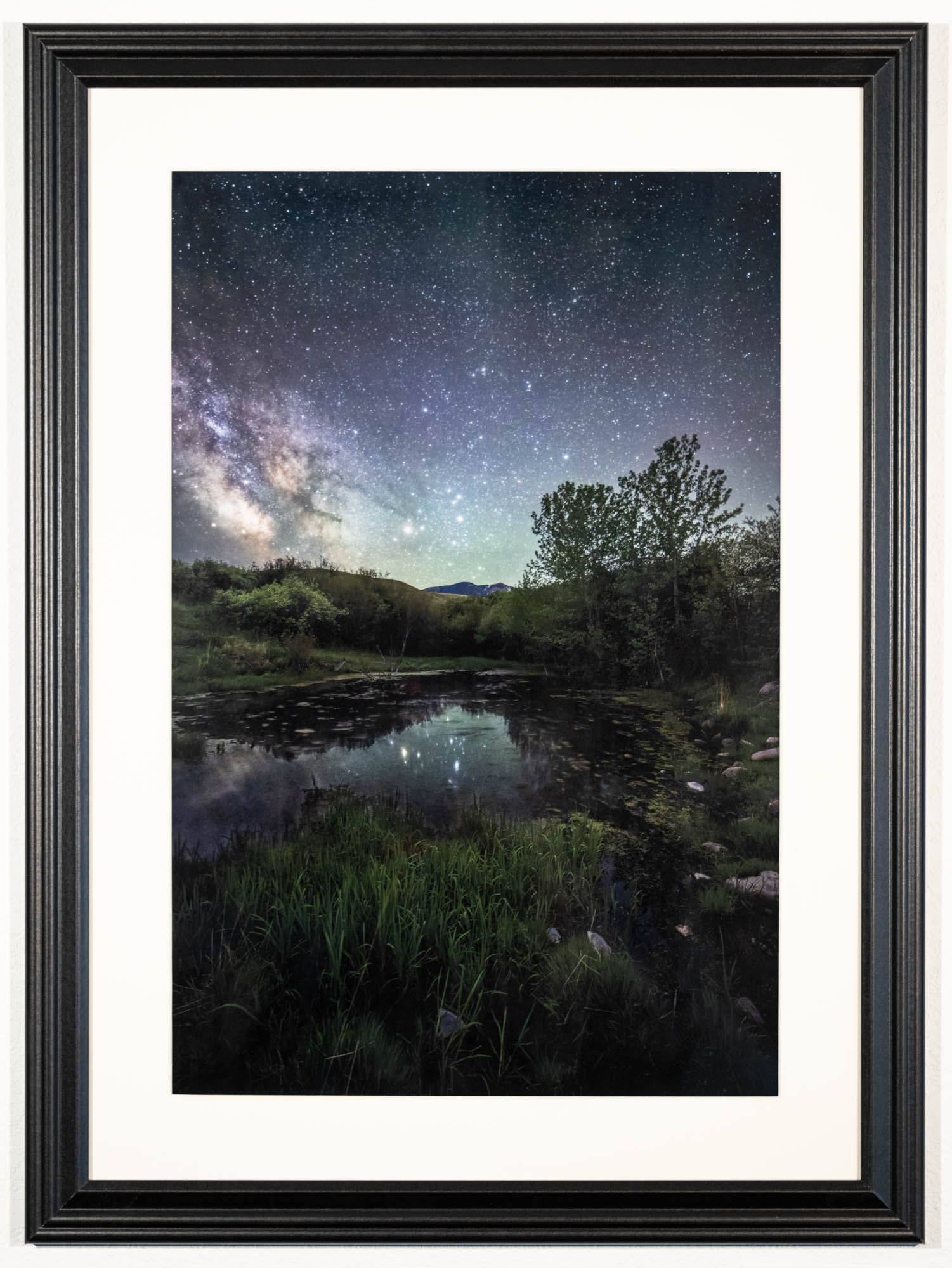 "Pondside Tranquility"