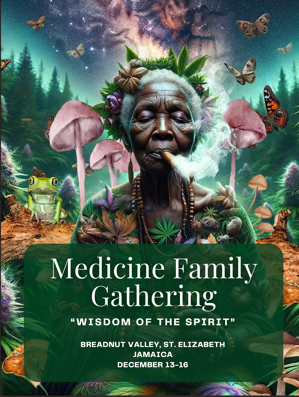 Medicine Family Gathering - Wisdom of the Spirit