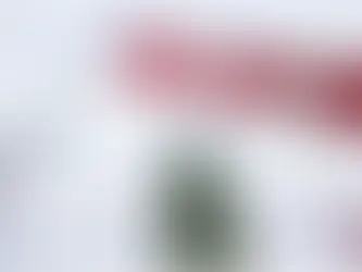 AMLO reconoce aumento en solicitudes de asilo de mexicanos en Canadá