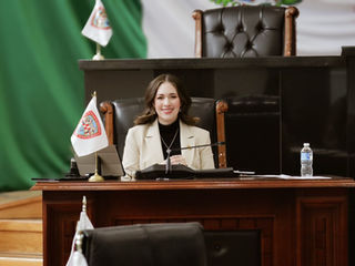 Presenta Alma Portillo iniciativa para combatir la violencia familiar y de género