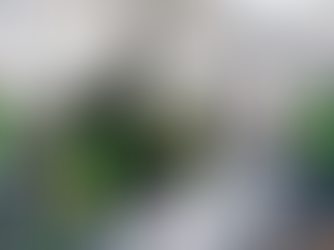 México pierde más de 8 mil empleos formales en enero, reporta el IMSS