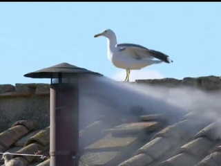 ¡Humo blanco: Habemus Papam!