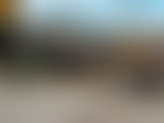 Migrantes trabajan en Chihuahua como jardineros o albañiles temporales