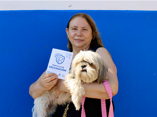 Más de 3 mil mascotas ya forman parte del Registro Municipal de Animales de Compañía