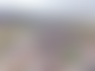 Al 60% el polideportivo Luis H. Álvarez