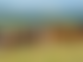 Estados Unidos suspende importación de ganado mexicano por caso de gusano barrenador