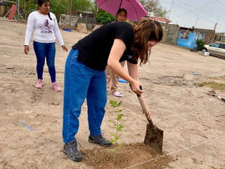 Impulsa Jael Argüelles jornada de reforestación en Rancho Anapra