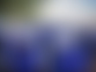 Avanzan Chalecos Azules en el estado