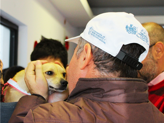 Adoptar un perrito puede cambiarte la vida
