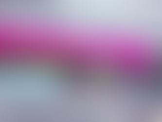 Comité Técnico inicia revisión de aspirantes para renovar tres consejerías del INE