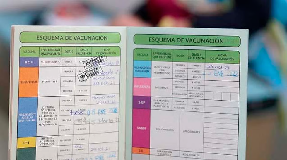 Alista la cartilla: Será obligatoria en regreso a clases
