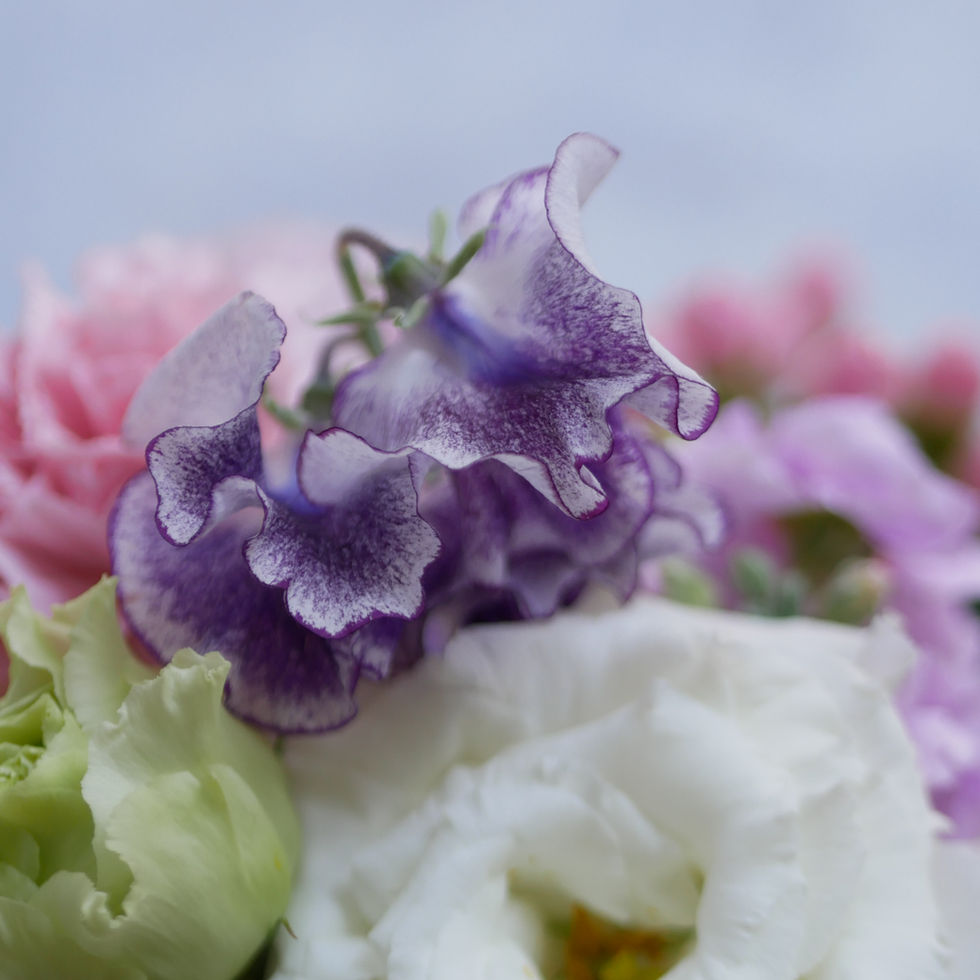 お悔やみ花 専門店 お供え花 お供え 花 アレンジメント やさしい色合い 供花 モダン 洋風 仏花 一周忌 三回忌 四十九日 月命日 枕花 お盆 初盆 新盆 命日 仏事 お彼岸 ペット