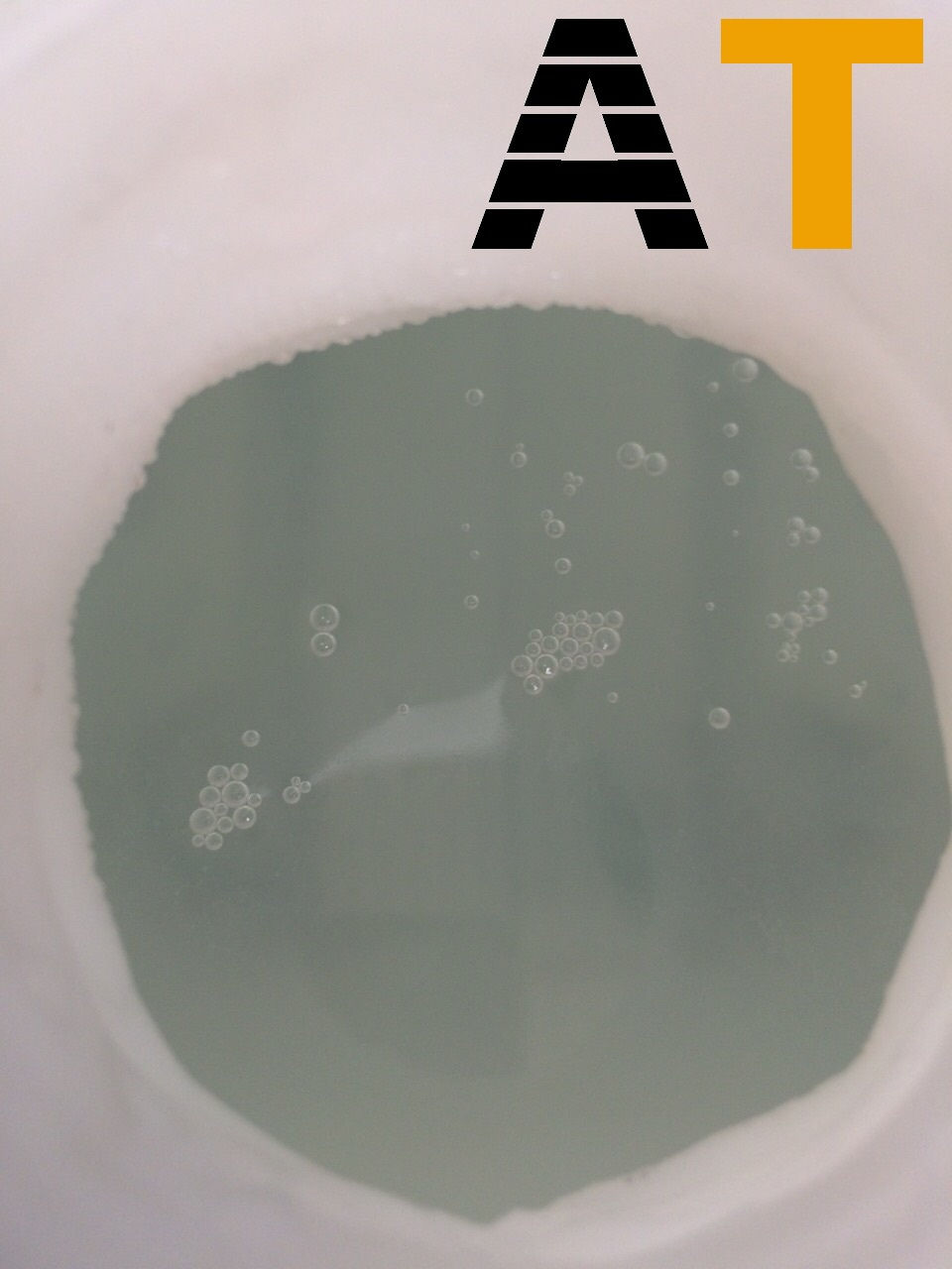 Amoniaco Envase de 5 Lts. / 310A