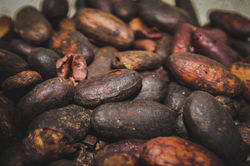 Chocoartesano