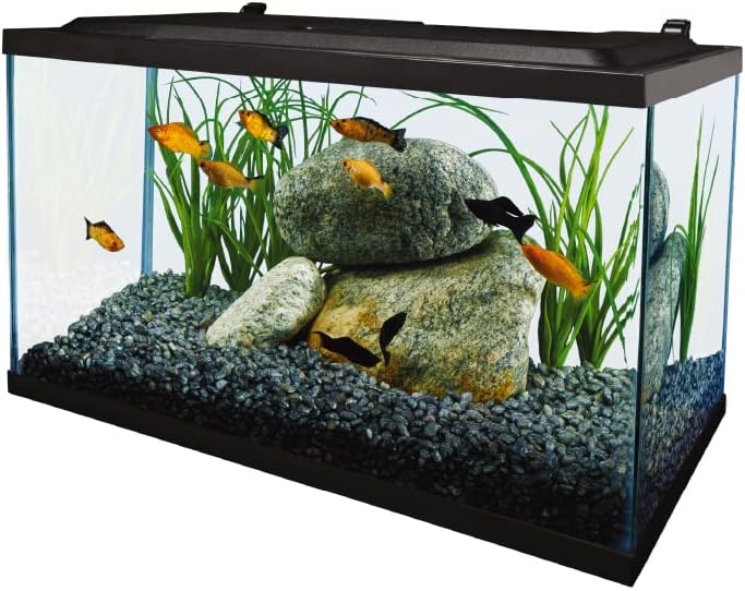 10 Gallon