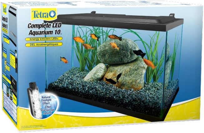 10 gallon