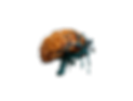 creative_brain4.png