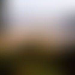 Best Family Holiday Villas South Africa