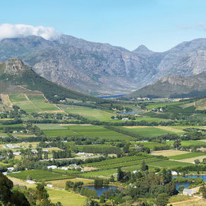 Franschhoek Like a Local