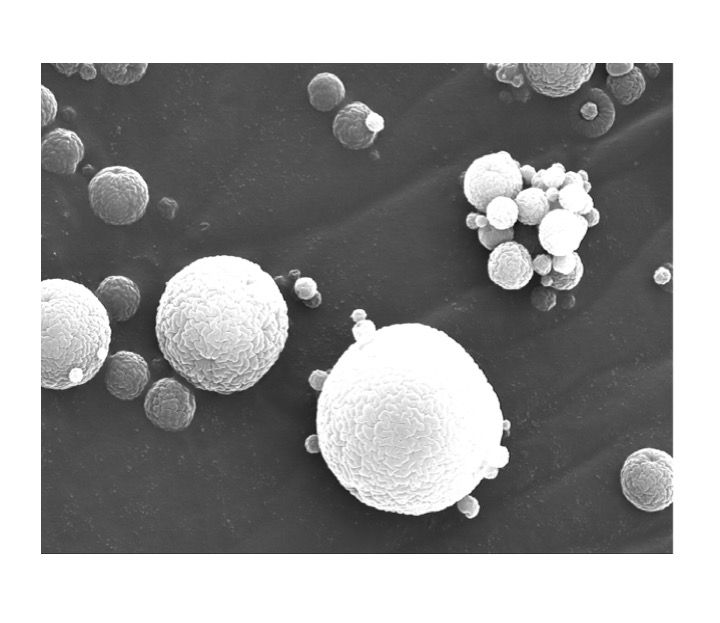 Biocompatible microcapsules