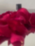 Miniatura: Cheeky Rose