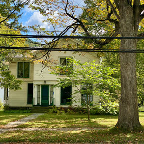 Old house in trees