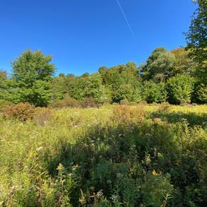 Catskills Land
