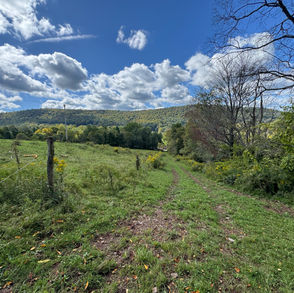 pastoral view
