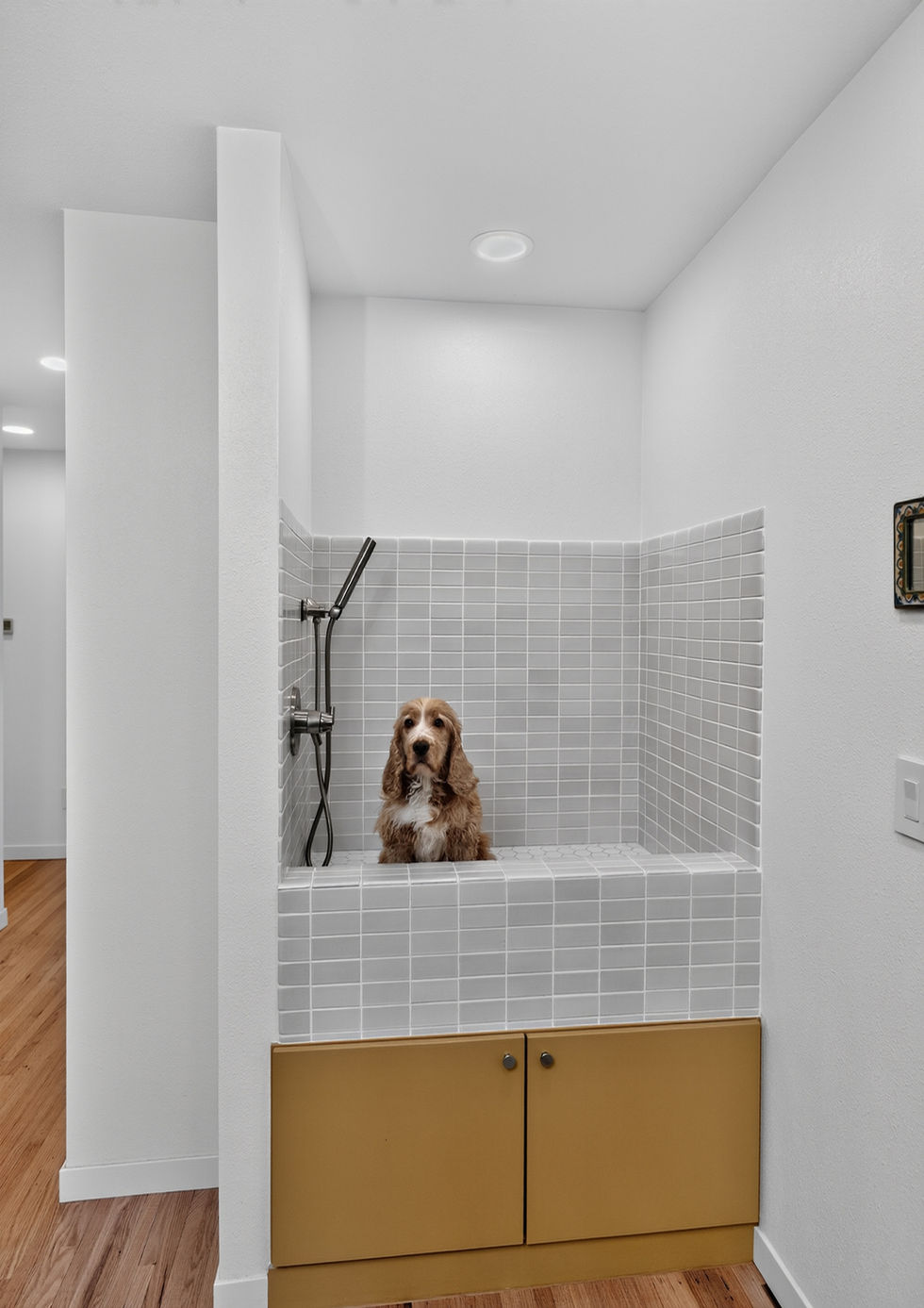 Home Remodel - 360 Construction & Design, Anchorage, AK